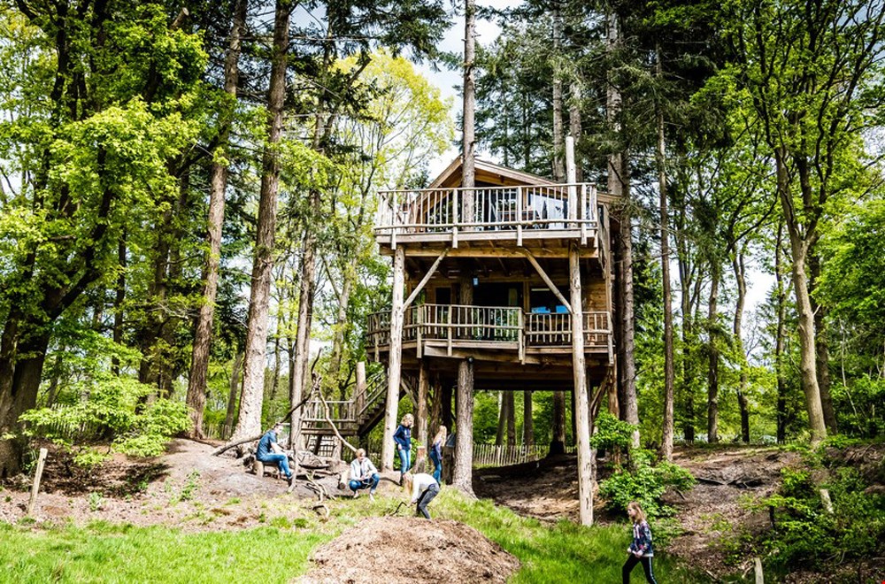 Boomhut Torentjeshoek Boomhut Torentjeshoek